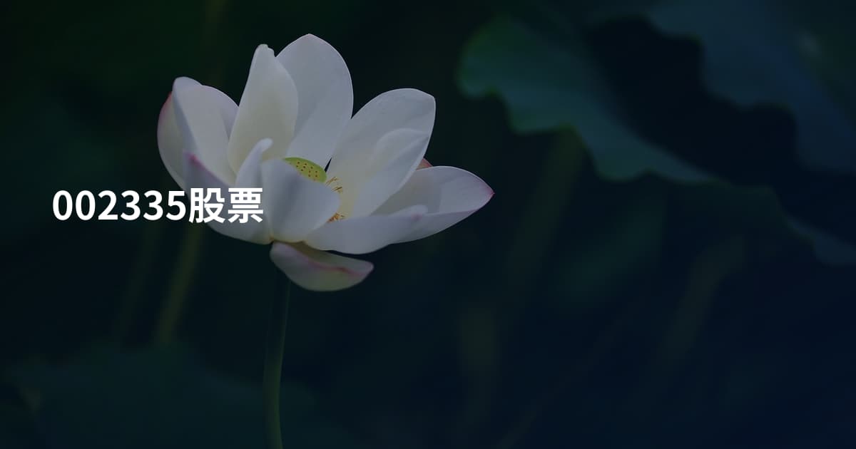 002335股票