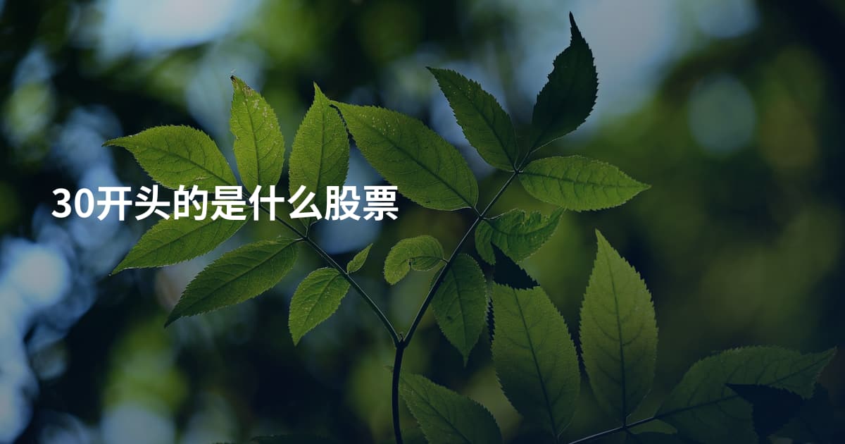 30开头的是什么股票