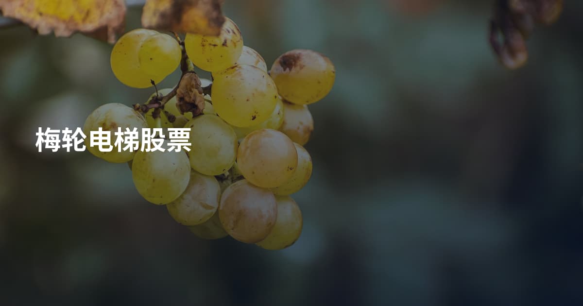 梅轮电梯股票