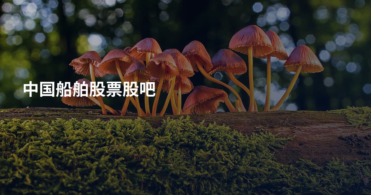 中国船舶股票股吧