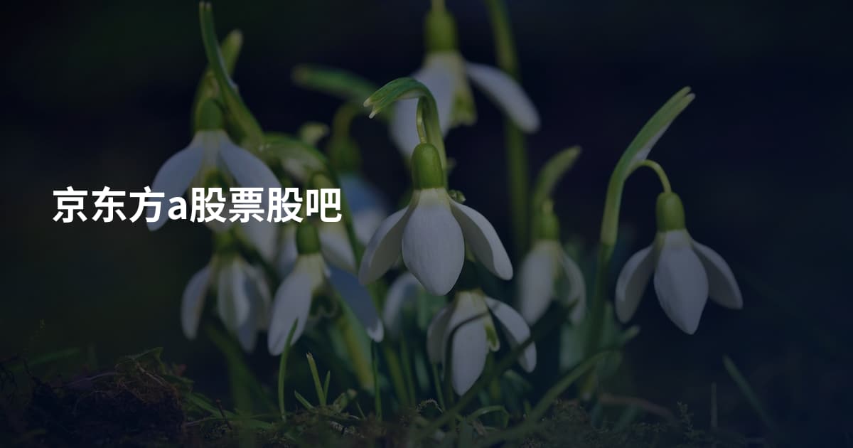京东方a股票股吧