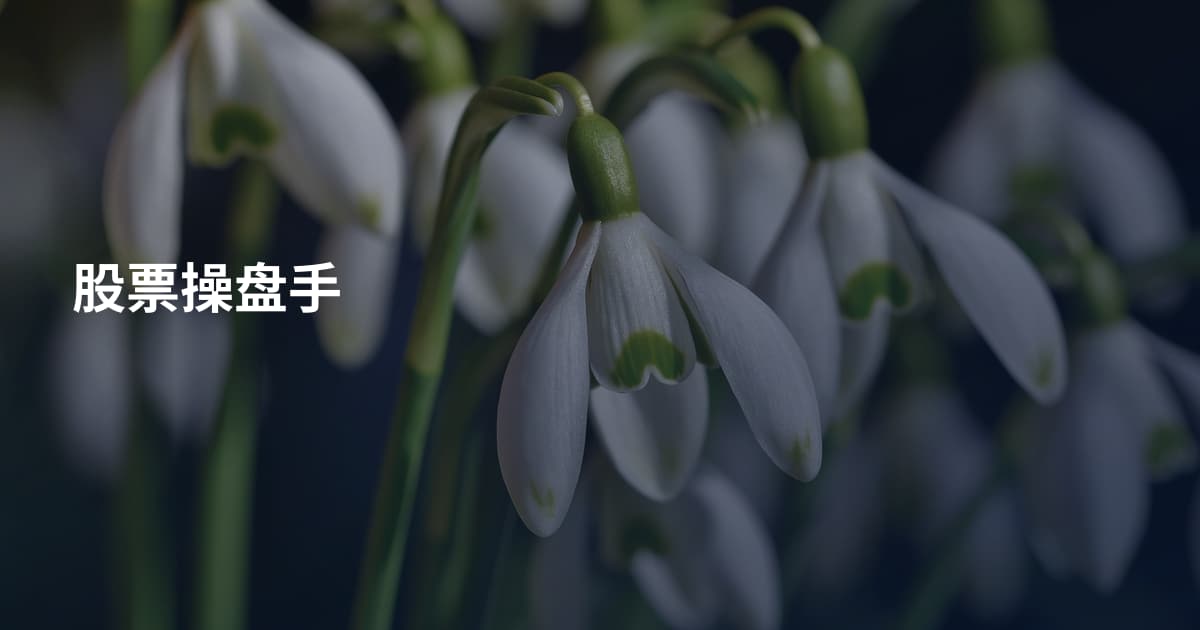 股票操盘手