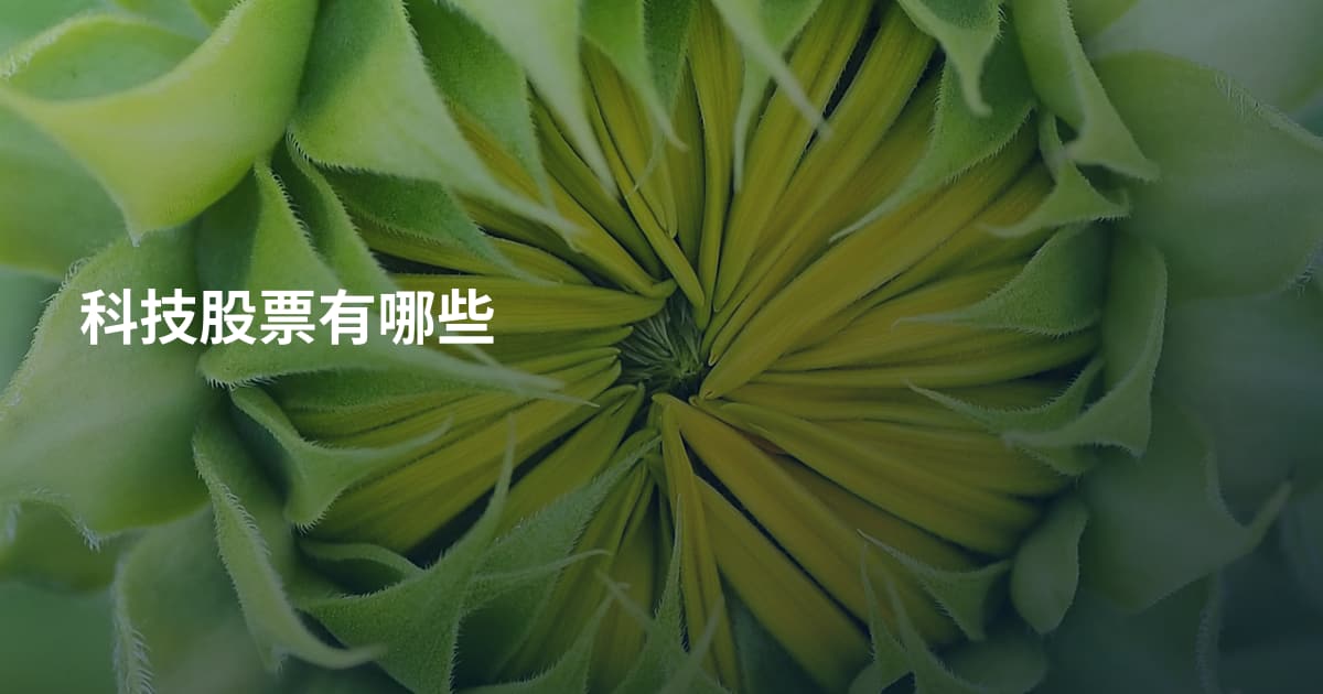 科技股票有哪些