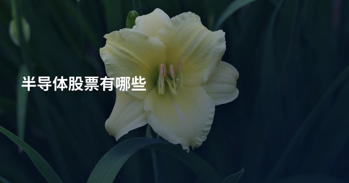 半导体股票有哪些