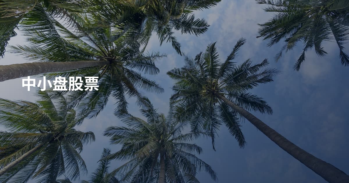 中小盘股票