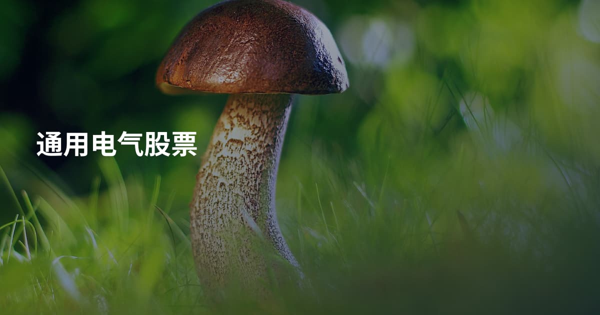 通用电气股票