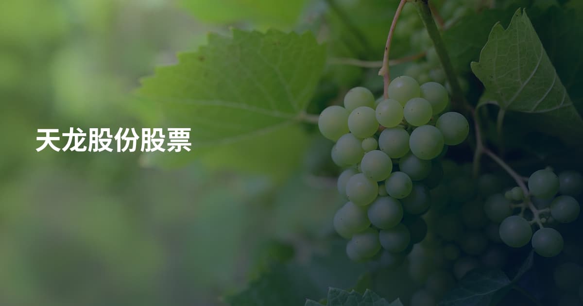 天龙股份股票