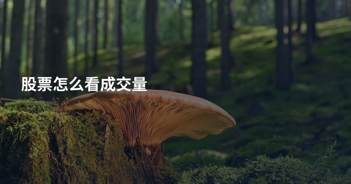 股票怎么看成交量
