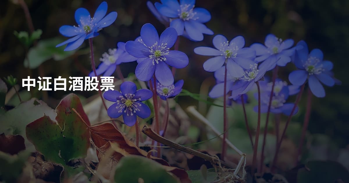 中证白酒股票