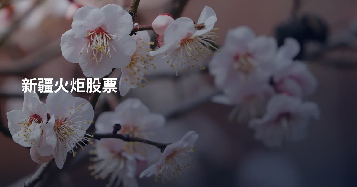 新疆火炬股票