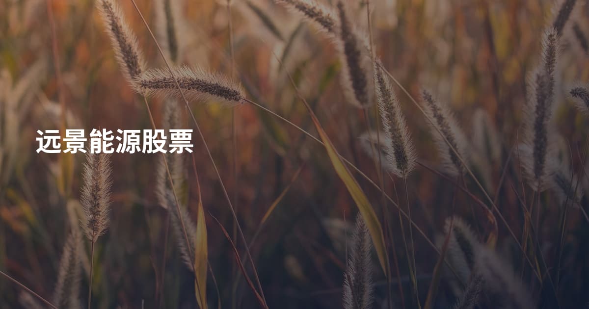 远景能源股票