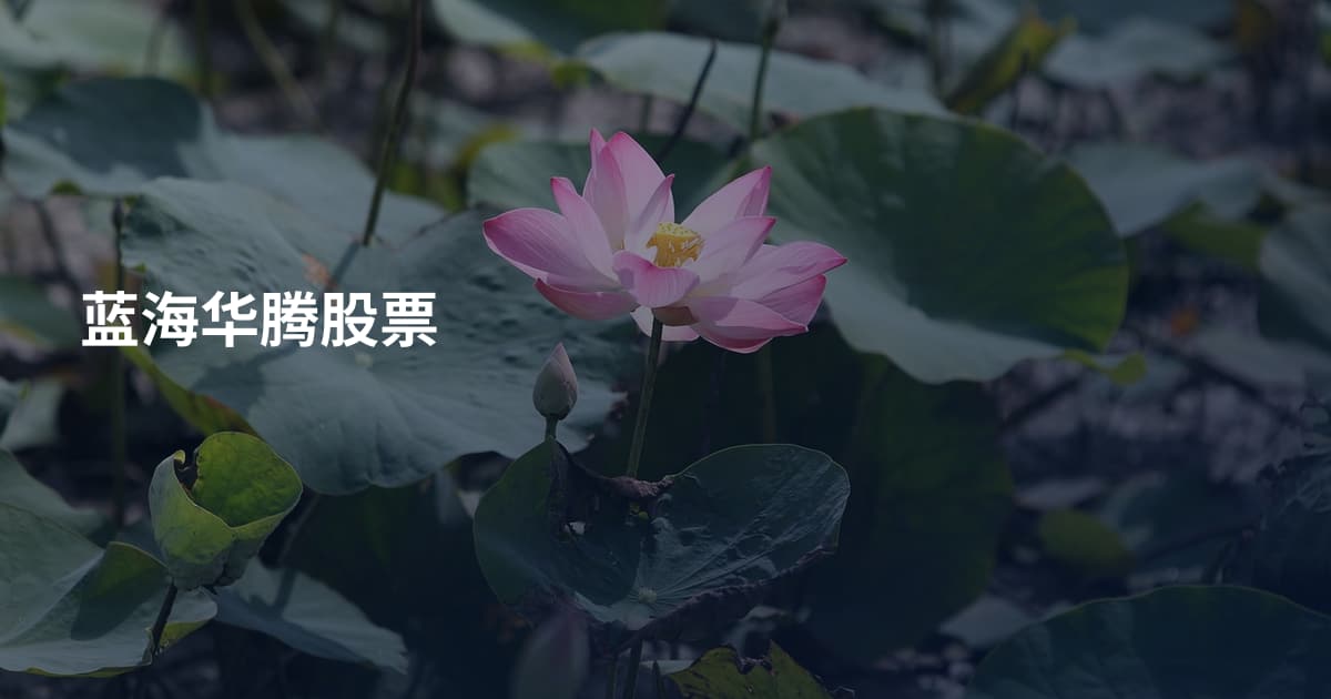 蓝海华腾股票