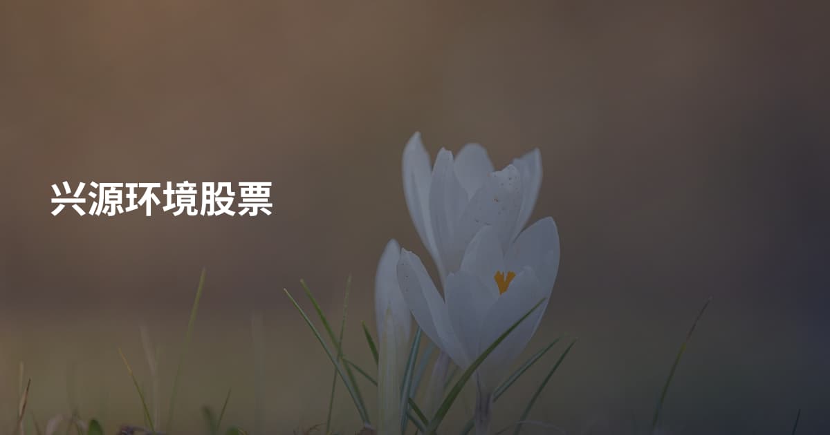兴源环境股票