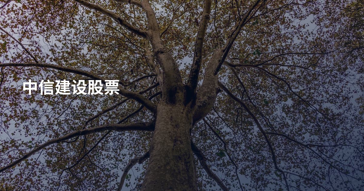 中信建设股票
