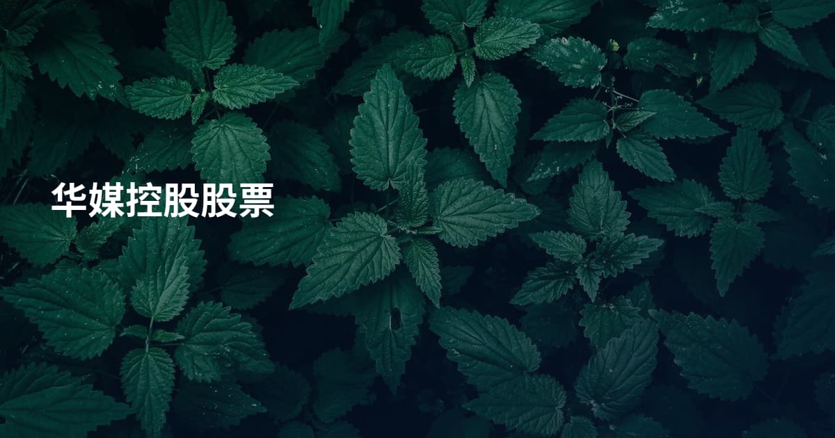 华媒控股股票