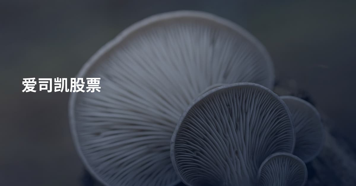 爱司凯股票