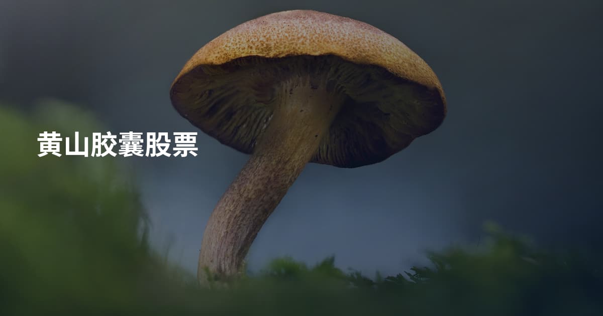 黄山胶囊股票