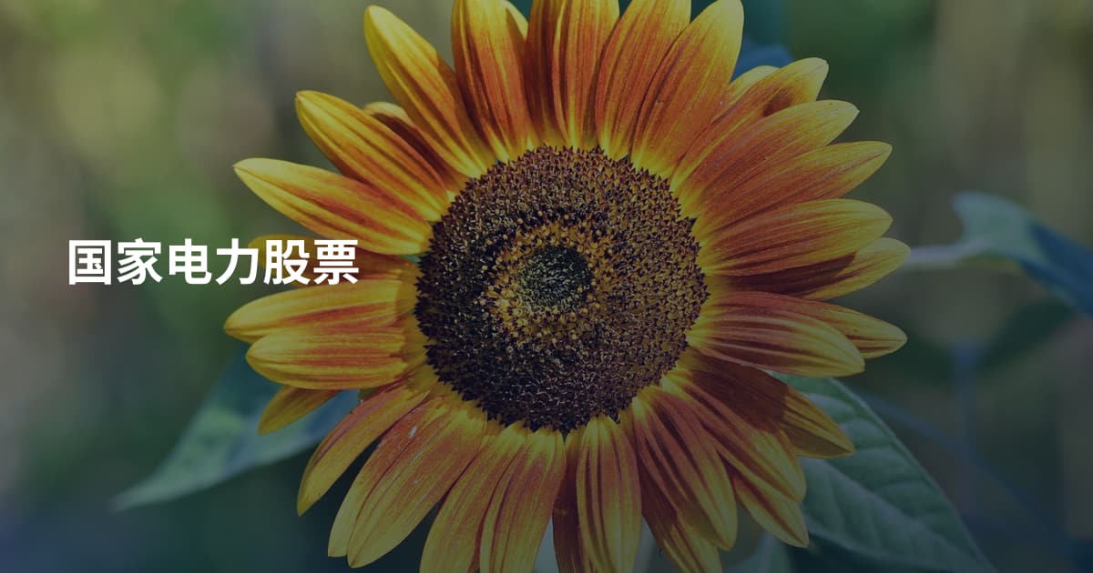 国家电力股票