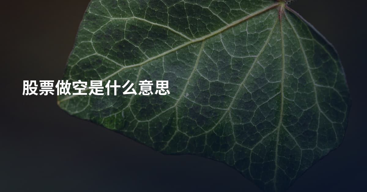 股票做空是什么意思