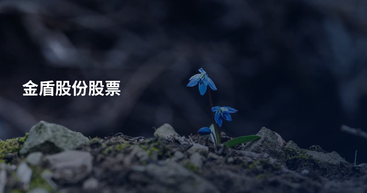 金盾股份股票