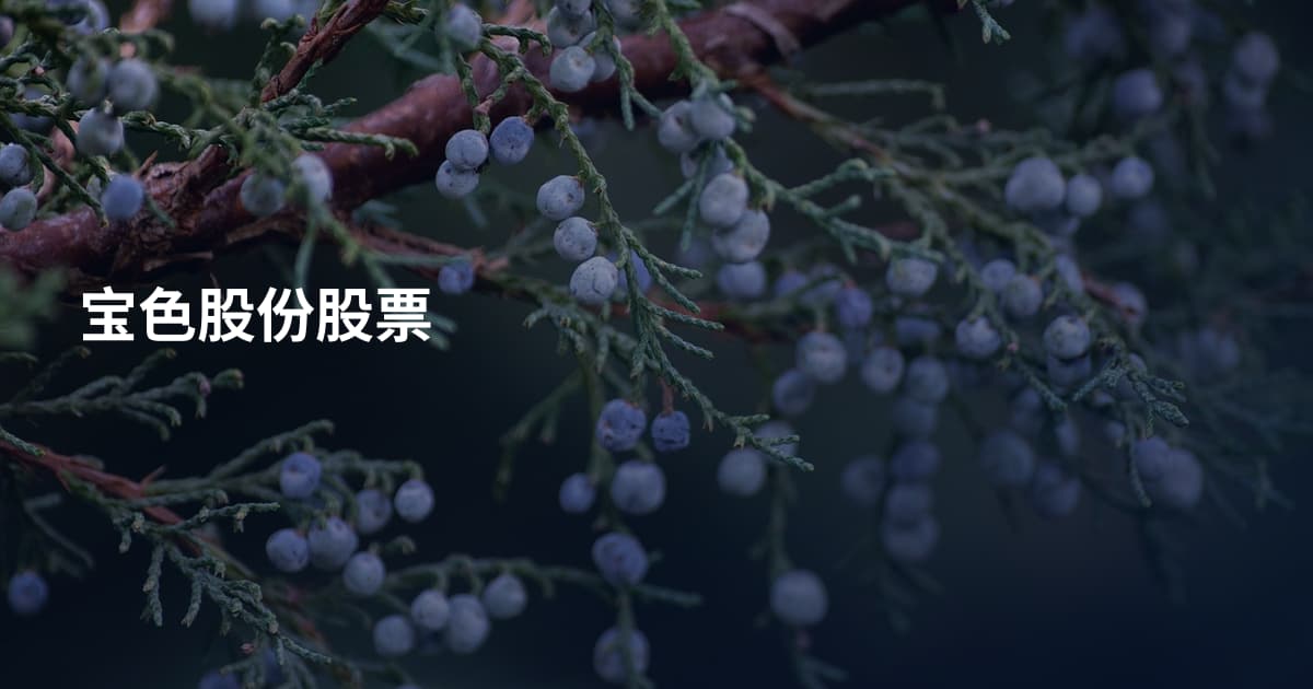 宝色股份股票