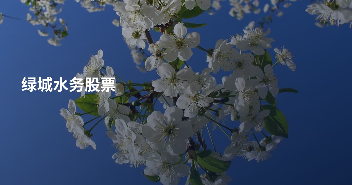 绿城水务股票