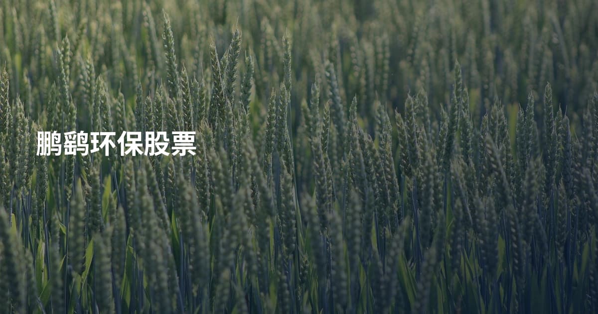 鹏鹞环保股票