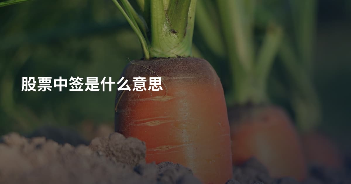 股票中签是什么意思