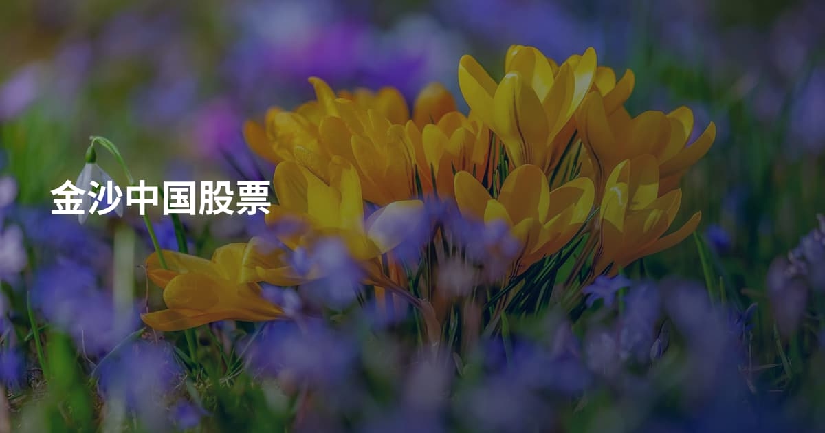 金沙中国股票