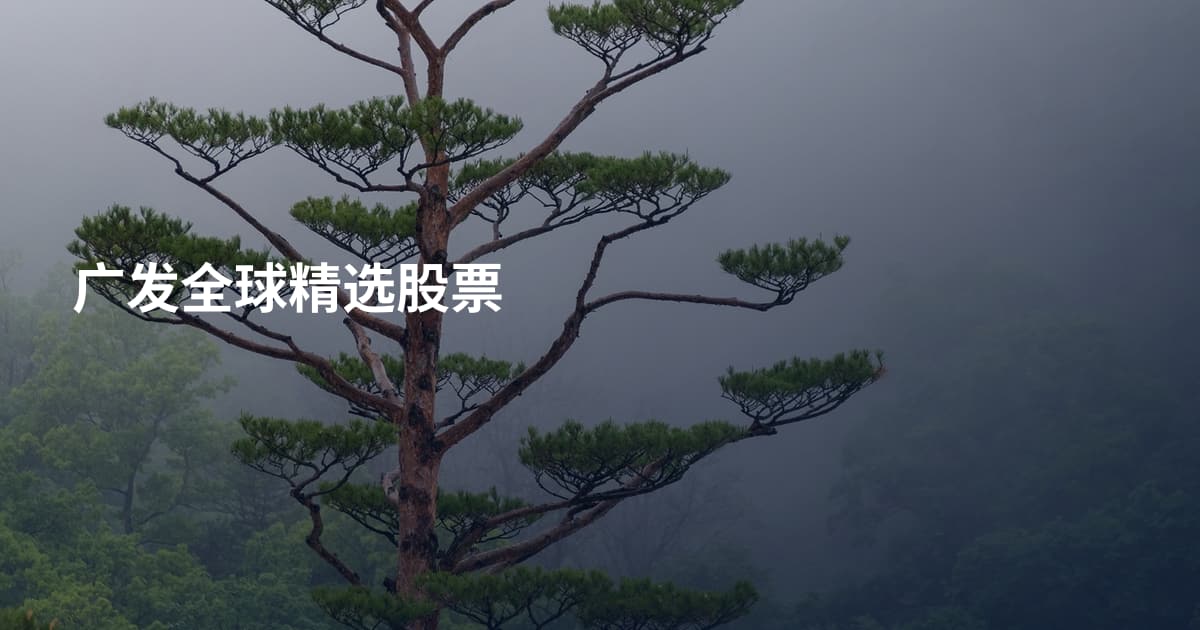 广发全球精选股票
