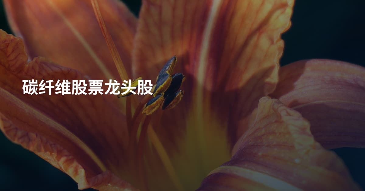 碳纤维股票龙头股