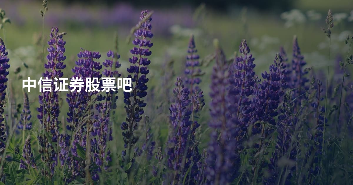 中信证券股票吧