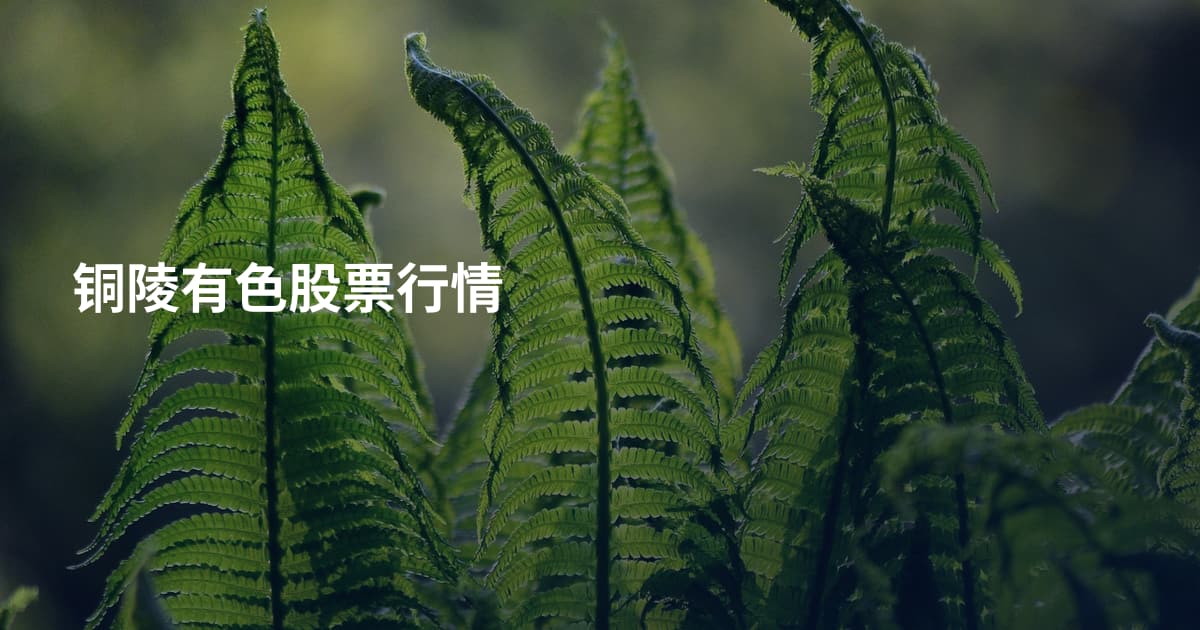 铜陵有色股票行情