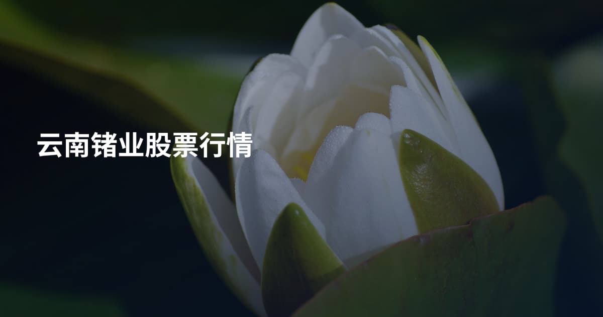 云南锗业股票行情