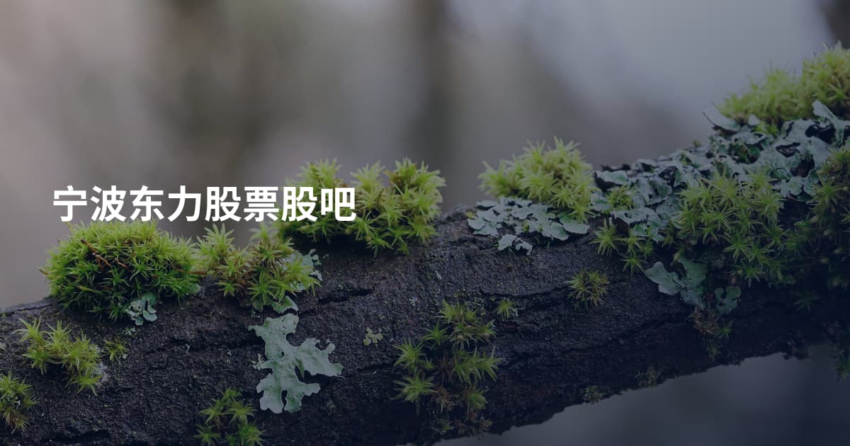 宁波东力股票股吧