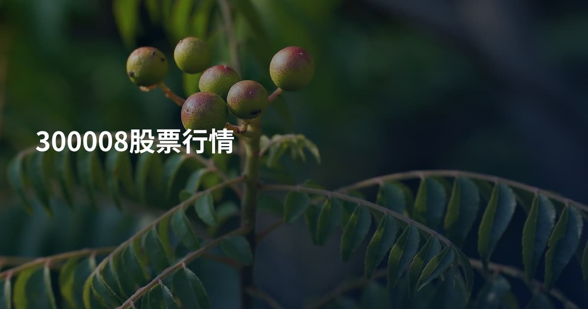 300008股票行情