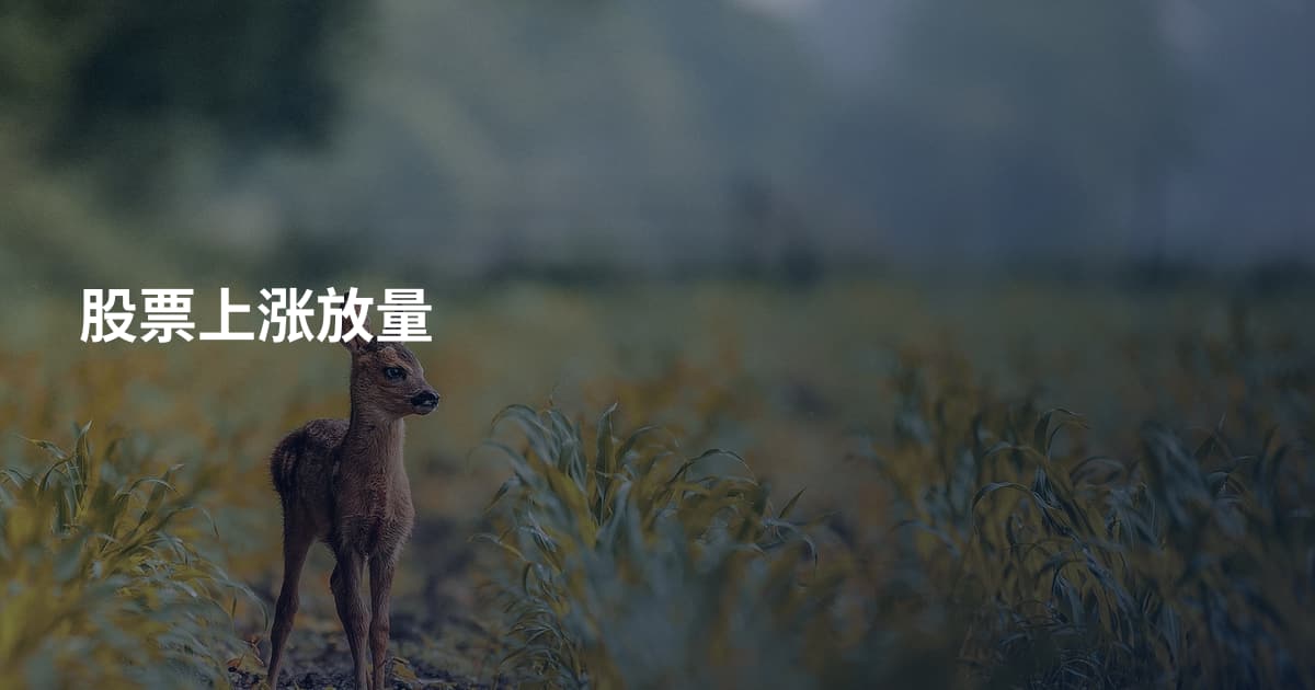 股票上涨放量