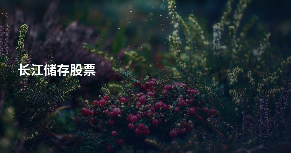 长江储存股票