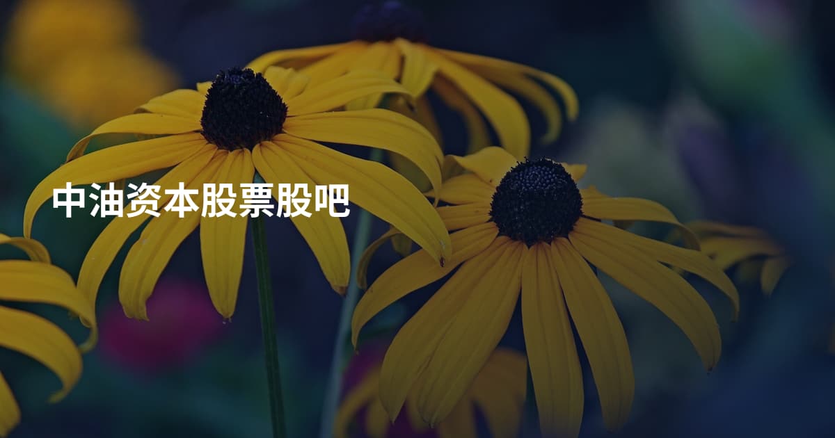 中油资本股票股吧