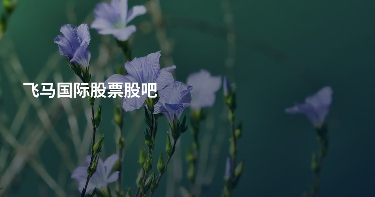 飞马国际股票股吧