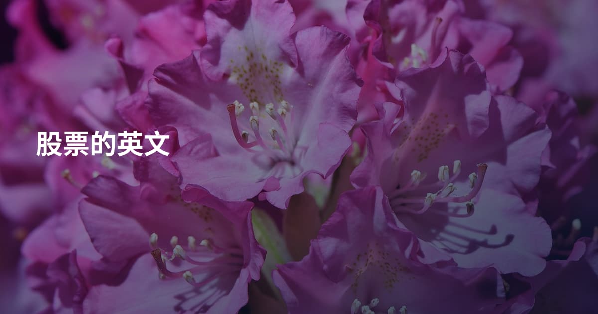 股票的英文