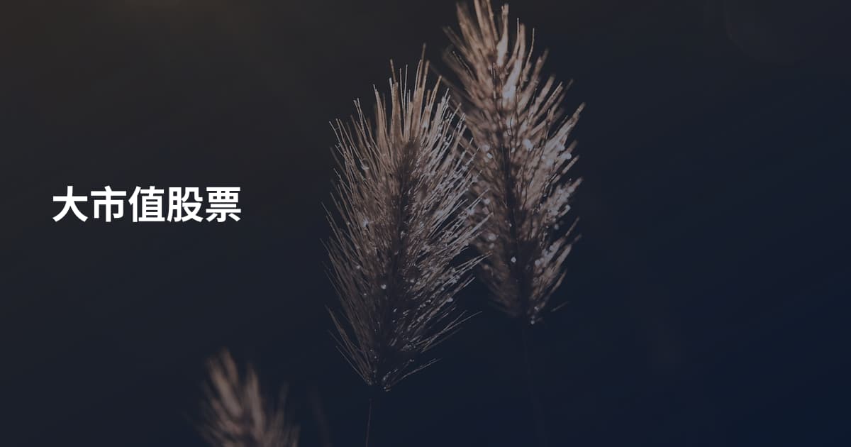 大市值股票
