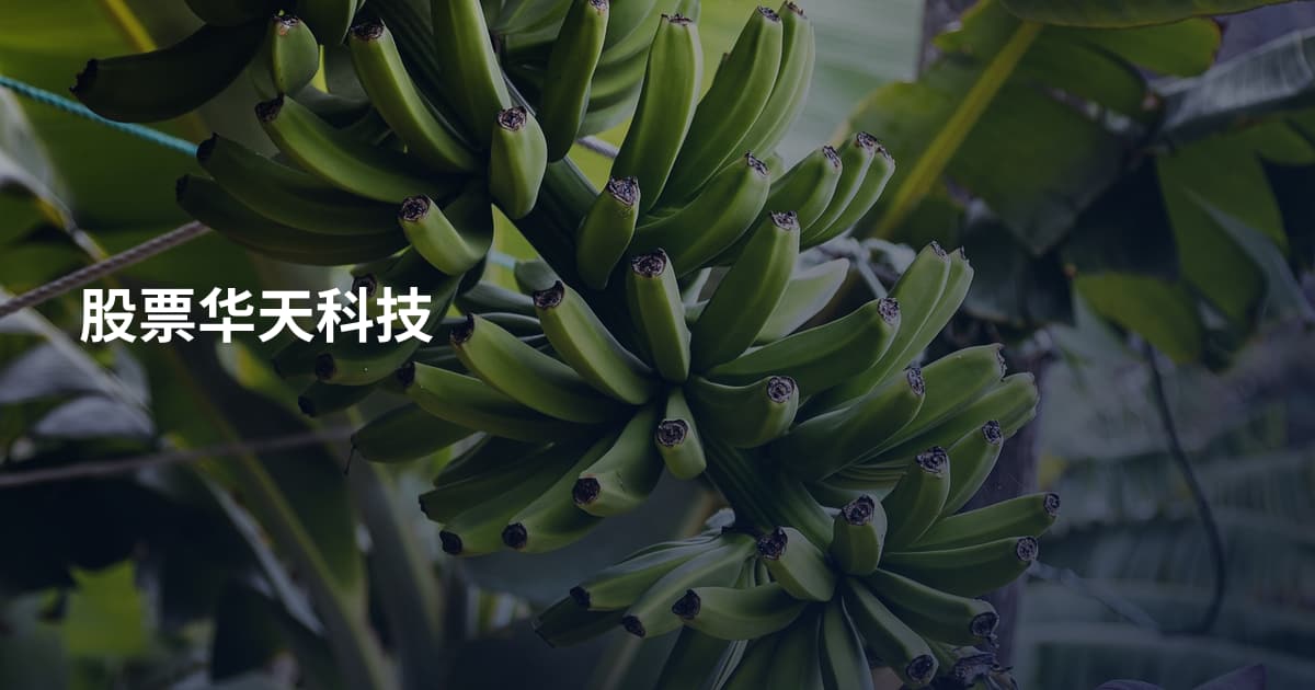 股票华天科技
