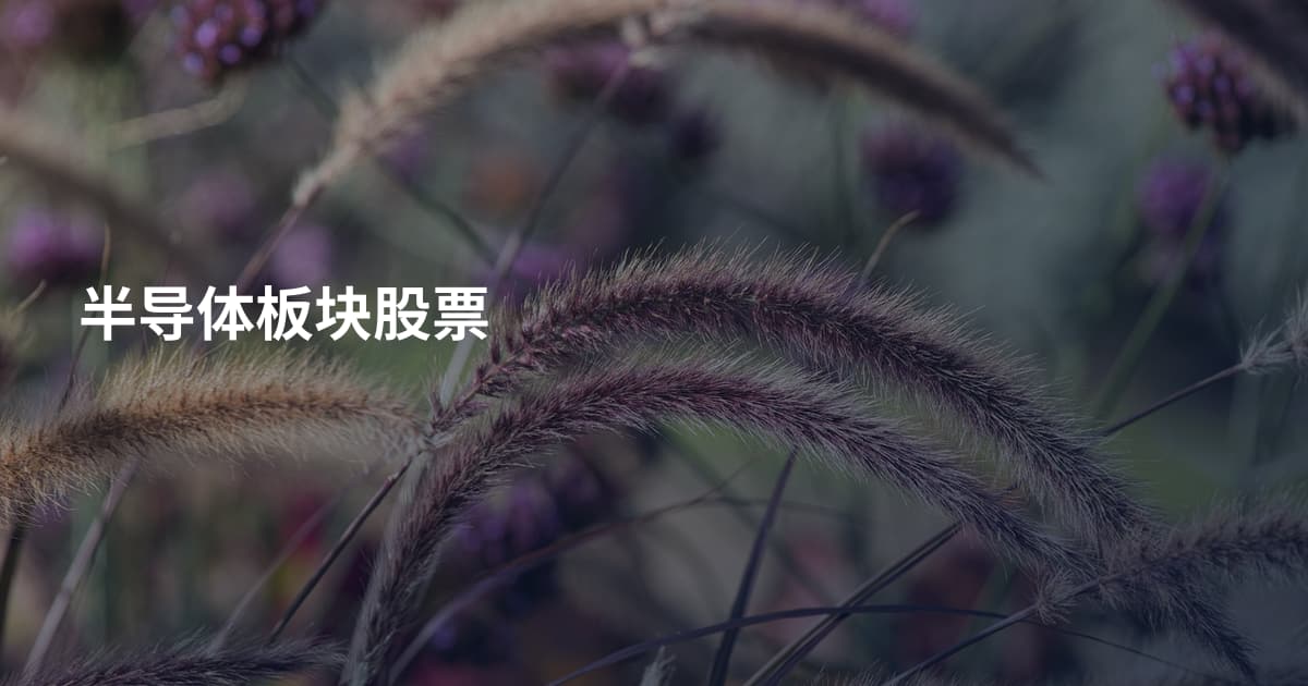 半导体板块股票