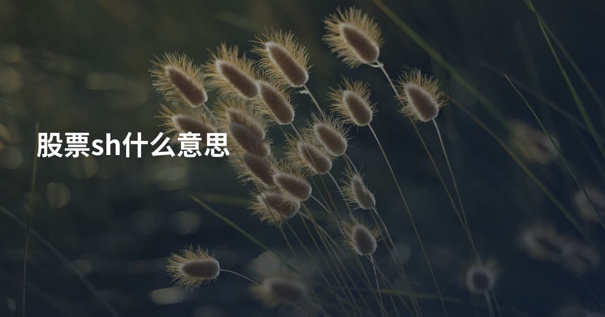 股票sh什么意思