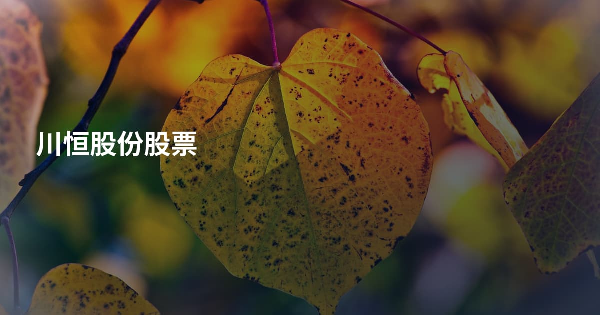 川恒股份股票