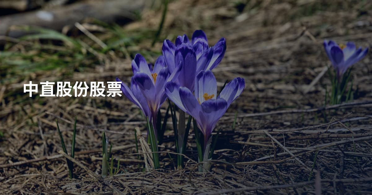 中直股份股票