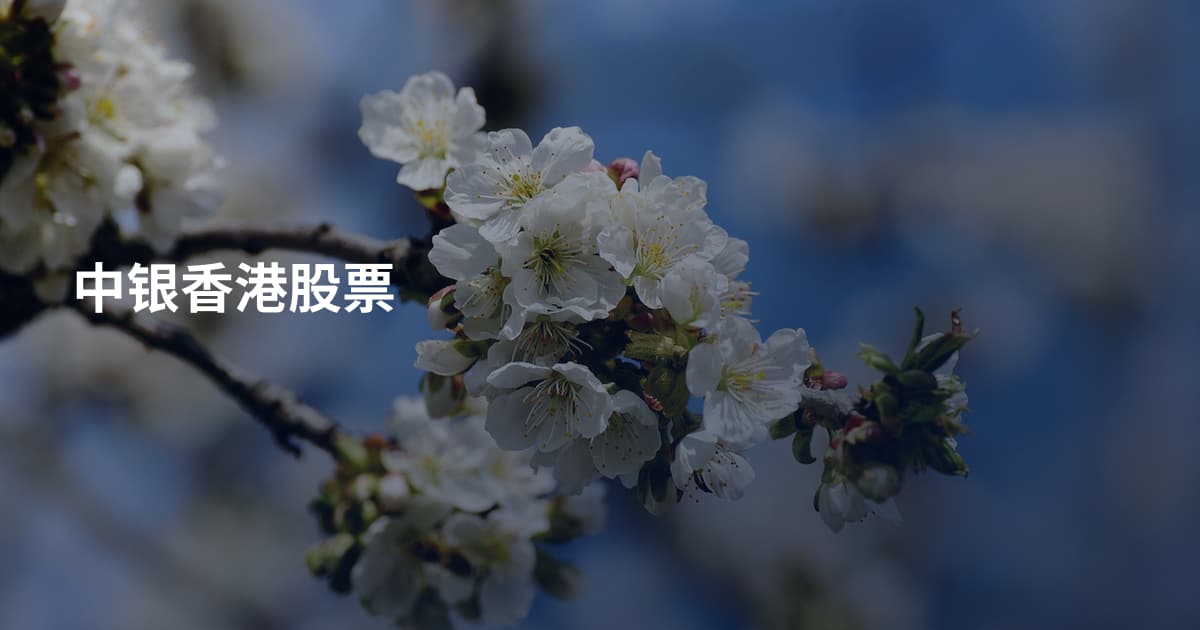 中银香港股票