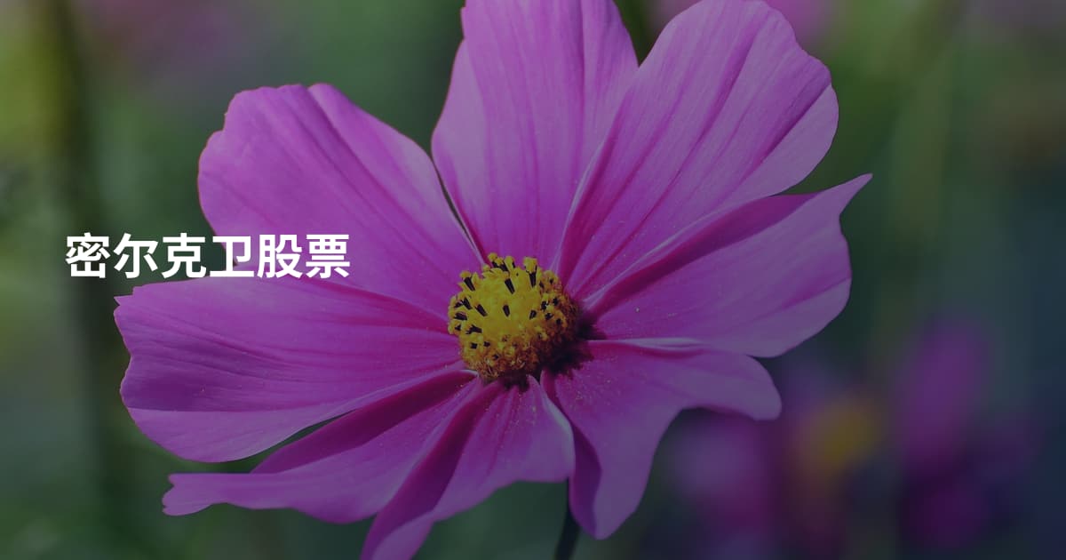 密尔克卫股票
