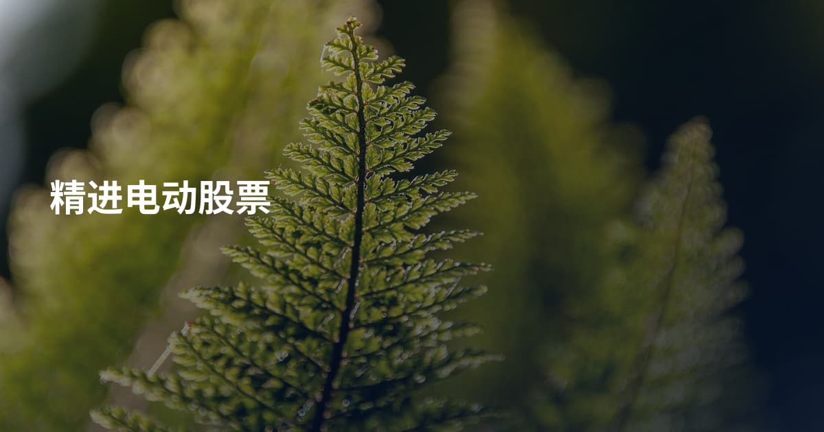 精进电动股票